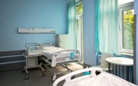 DSC9242kopia-Medium-1024x683